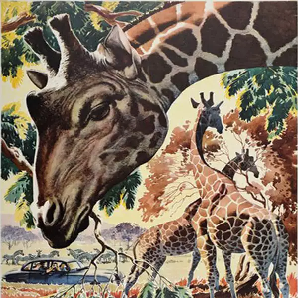African-Pop