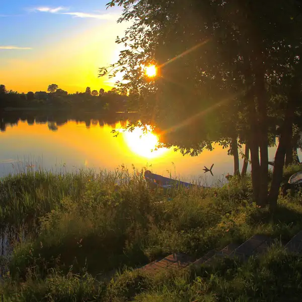 nature